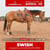 Horse ad