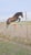 Horse ad