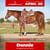 Horse ad