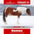 Horse ad