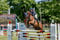 Horse ad
