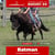 Paardadvertentie