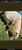 Horse ad