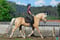 Annuncio cavallo