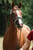 Annuncio cavallo