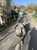 Annuncio cavallo