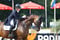 Anuncio de caballos