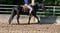 Annuncio cavallo