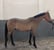 Horse ad