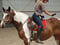 Annuncio cavallo
