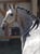 Horse ad