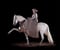 Pferdeinserat