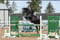 Horse ad