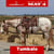 Anuncio de caballos