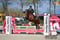 Annonce cheval