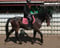 Horse ad