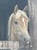 Annonce cheval