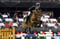 Annuncio cavallo