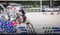 Horse ad
