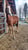Annuncio cavallo