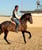 Horse ad