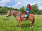 Annuncio cavallo