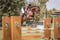 Horse ad