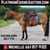 Horse ad