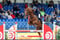 Annuncio cavallo