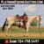 Horse ad