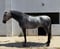 Annuncio cavallo