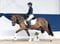 Annonce cheval