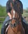 Annonce cheval