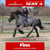 Horse ad