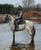 Horse ad
