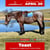 Horse ad