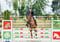 Annuncio cavallo