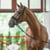 Annuncio cavallo