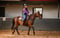 Horse ad