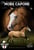 Horse ad