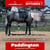 Annuncio cavallo