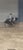 Annonce cheval