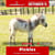 Pferdeinserat
