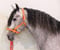 Horse ad