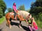 Annuncio cavallo