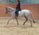 Horse ad