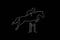 Horse ad