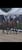 Horse ad