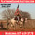 Horse ad