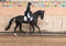 Horse ad